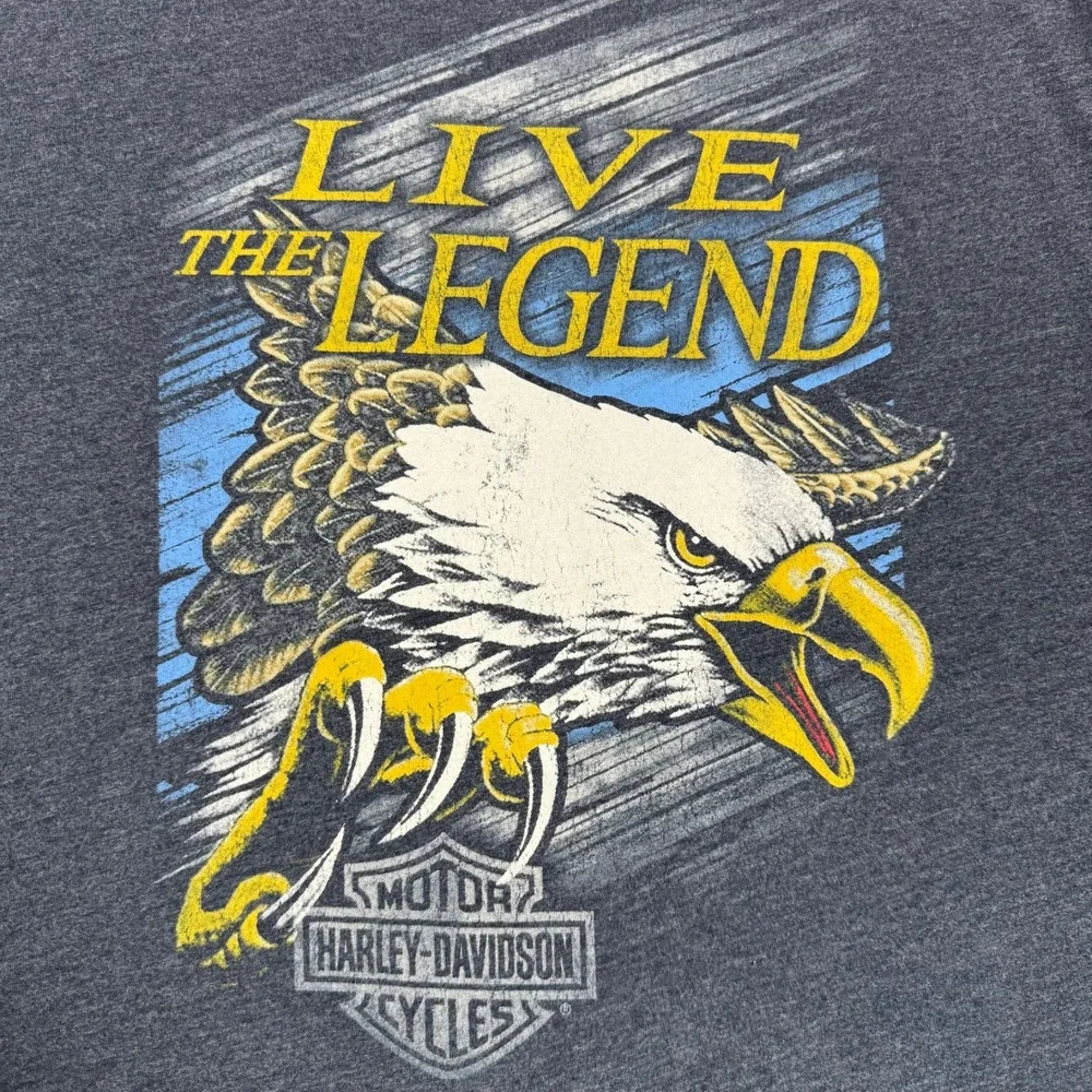 Harley-Davidson Mens Live The Legend Eagle Graphic Long Sleeve Shirt Grey XL